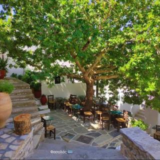 Fasolas square studio 15m2 is located 30 stairs up from the main road and it is in the old market fasolas and next to the museums - Filótion - 4