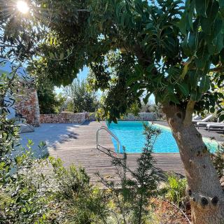 Bosco degli Ulivi - 2