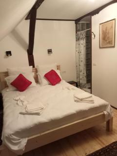 Residence Gölsch 161 - Sînpetru - 6