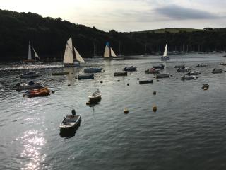 Sandpiper - Fowey - 5
