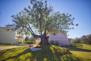 Cegonha Country Club - Vilamoura - 3
