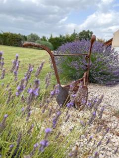 Luberon belle maison provençale climatisée avec piscine privée - 5