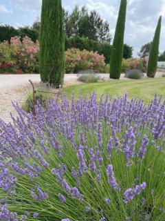Luberon belle maison provençale climatisée avec piscine privée - 4