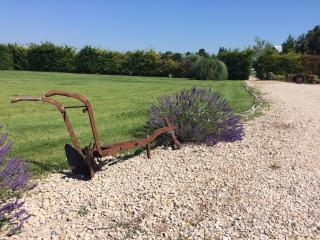 Luberon belle maison provençale climatisée avec piscine privée - 2