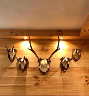 Chalet Monaci alla Fontana "Junior suite" - Albosaggia - 8