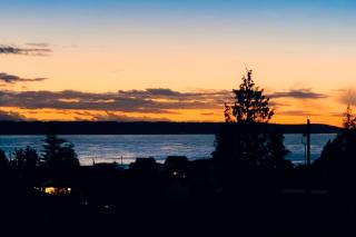Chateau Camano - Madrona Beach - 8