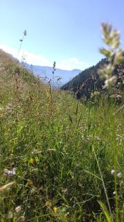 Unterweg Hof - Sarntal - 4