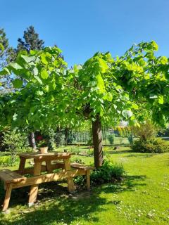 Agroturystyka Stokrotka - 4