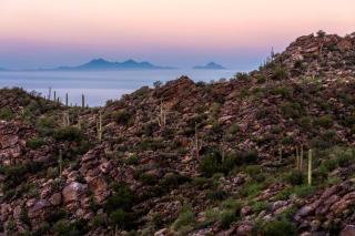 The Ritz-Carlton, Dove Mountain - Marana - 1