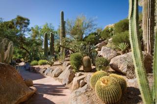 The Canyon Suites at The Phoenician, a Luxury Collection Resort, Scottsdale - Scottsdale - 4