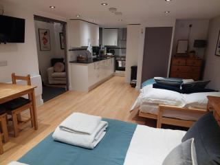 Private Garden Lodge in Christchurch, Dorset for 4 - dogs welcome! - Holdenhurst - 6