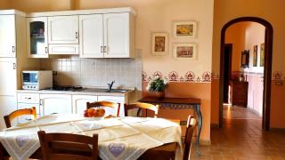 agriturismo macchia al pino - Pomaia - 3