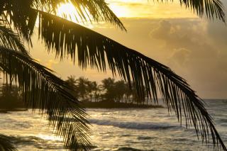 Hotel Casa Canada - Big Corn Island - 8