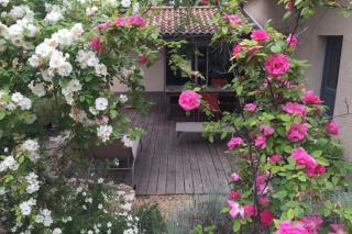 Beautiful house in the heart of its pine forest - private pool - 7