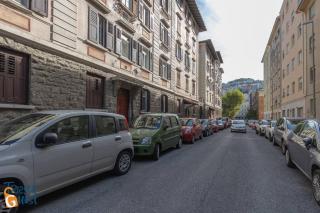 Ginestre - Triest - 3