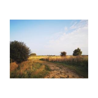 In nduuk - Lo-Reninge - 5