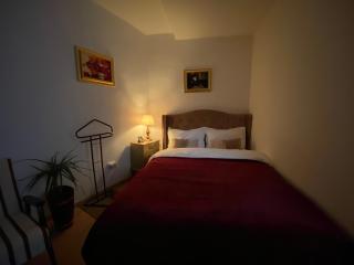 Studio PANORAMIC with Balcony and Parcul Unirii view - Alba Iulia - 6