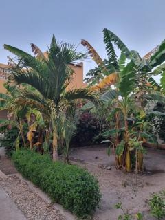 AUBERGE LA PRALINE - 1