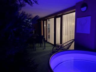 Downtown Penthouse Budapest - Budapest - 2