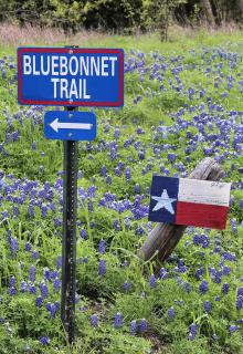 Holiday Inn Express & Suites Waxahachie by IHG - 7