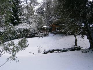 Casa en el bosque de Puerto Manzano - Villa La Angostura - 8