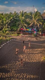 The Driftwood Surfer Beachfront Hostel / Restaurant / Bar, El Paredon - El Paredón Buena Vista - 1