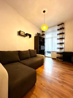 Charming Spacious Apartment - 1