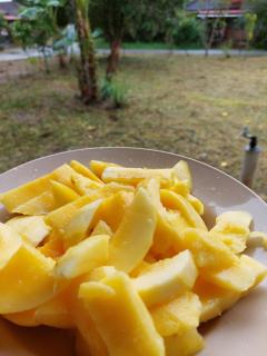 HOMESTAY BONDA PASIR MAS, KELANTAN - 3
