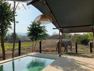 Elephant View Camp - 4