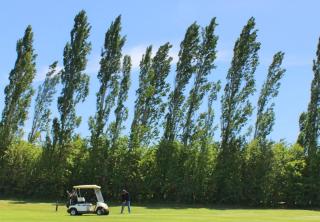 Quamby Estate - Hagley - 9