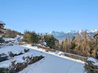 Les Mayens de l'Ours - At the foot of Piste de l'Ours' slope! - 9
