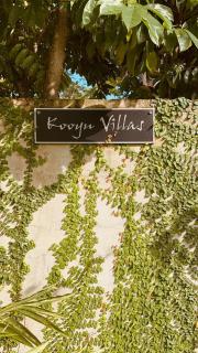 Kooyu Villas - Port Vila - 9
