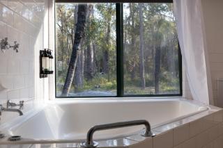 Island Brook Estate Vineyard and Chalets - Yelverton - 2