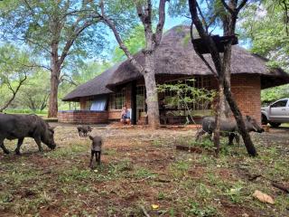 Hardekool Home Marloth Park - 1