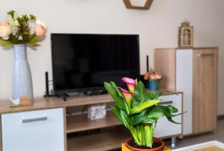 Apartment Colibri - Veliko Tarnovo - 7