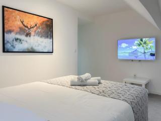 Atypique sous chateau vieille ville - Annecy - 1