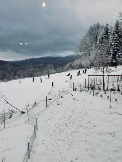 Apartament MODERN z ogrodem - 4