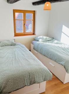 Bien dans vos Schlopps - Dambach-la-Ville - 3