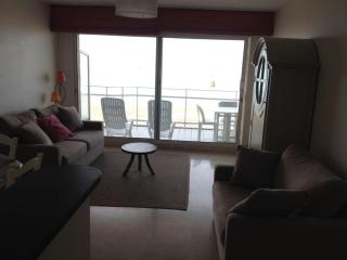 STUDIO CHANARD FRONT DE MER - Quiberon - 4