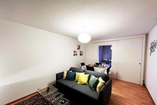 Lovely 2 Bedrooms Apartment in Davos Platz, Davos - 9