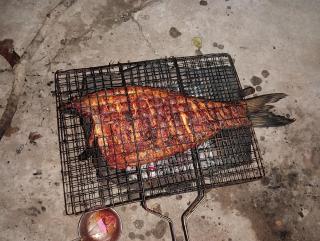 Honeybee Homestay by The Jungle Stay Groups - 7