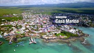 Galapagos Family Vacation 3 bedrooms 7 guests Centrally located and ocean view - 6
