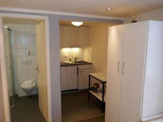 Apartment Schwendihus by Interhome - Grindelwald - 2