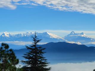 The Roots Homestay - Almora - 9