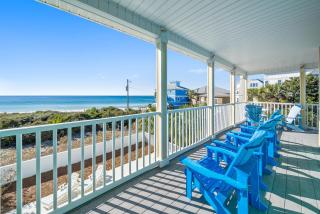 Surfer Dog home - Inlet Beach - 0