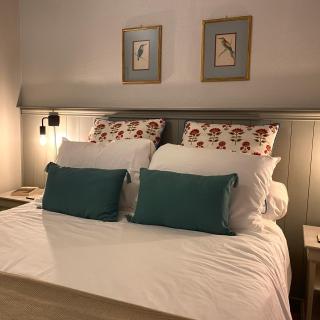 Newly Renovated Ground Floor Apartment close to Thermes - 4