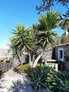 Casas Letizia e Sebastião - Monsaraz - 7