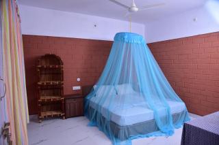 Doctors Ayurveda Heritage - Varkala - 9