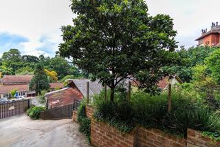 Rosa Edifício Giovani Pizetta - 2