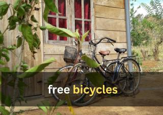 Private Cabin and private Kitchen - Experience serenity, and beautiful nature - 5